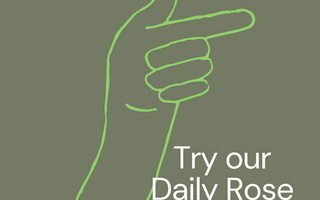 Feature blend - Daily Rose