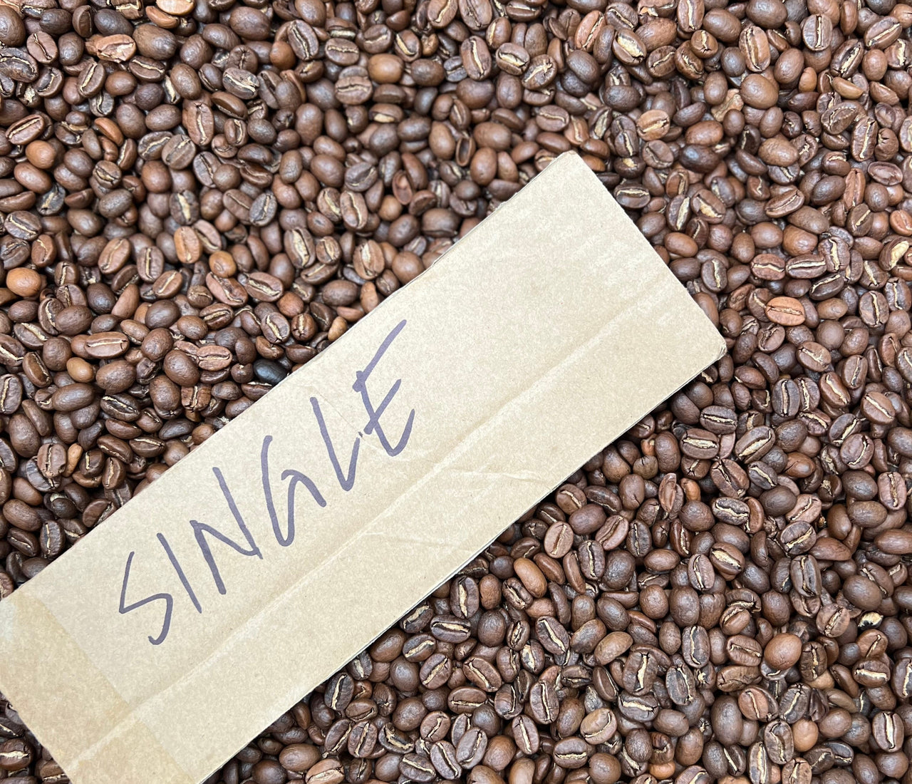 September's single origin – Riley Coffee