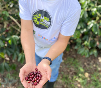 Single origin - Colombia