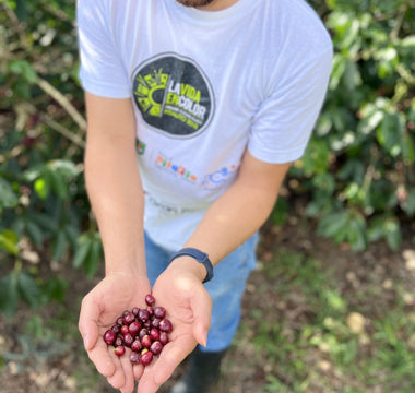 Single origin - Colombia