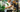 Woolworths in-store coffee sampling – July