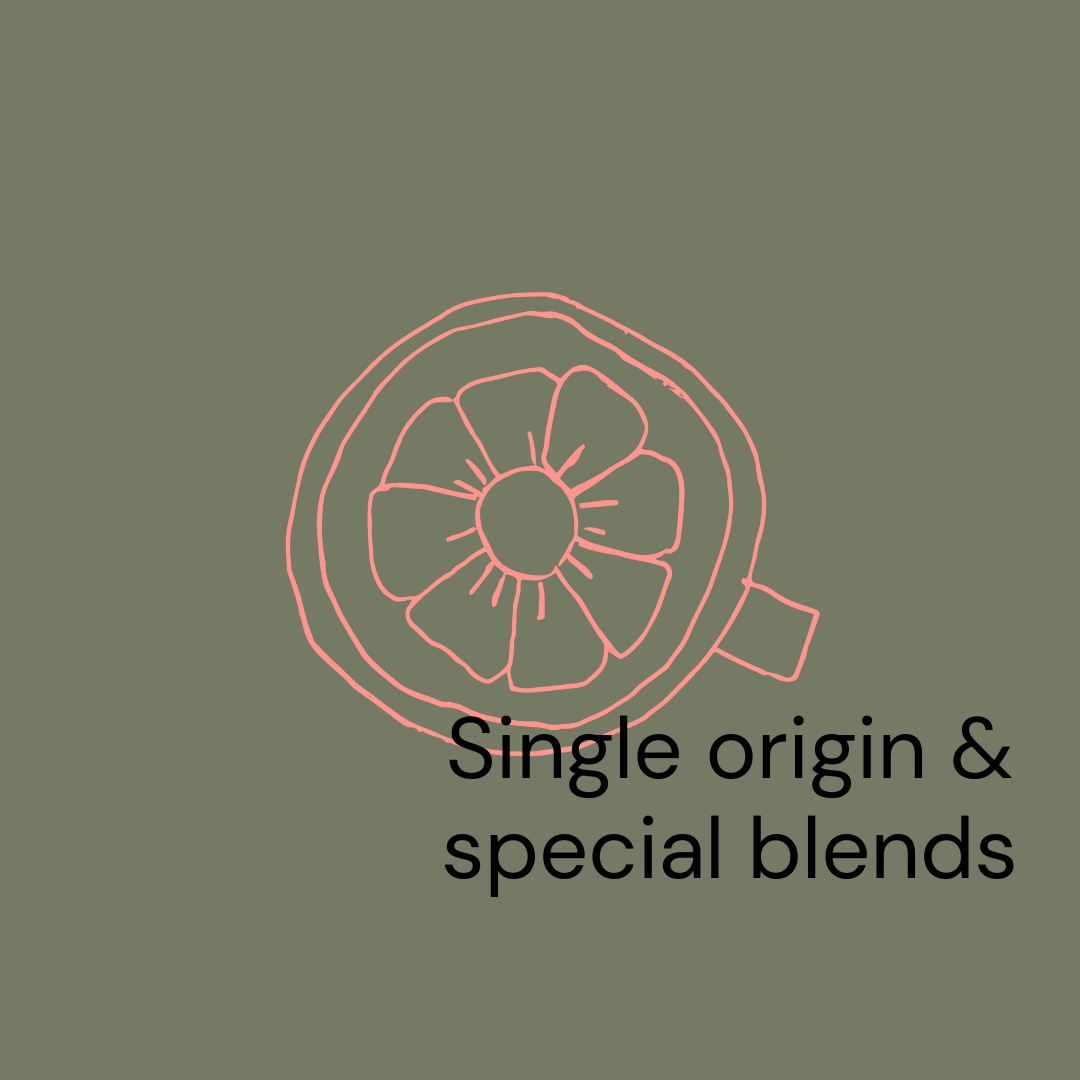 Riley Coffee - Single origin/Special blend FIXED Subscription (6 deliveries)