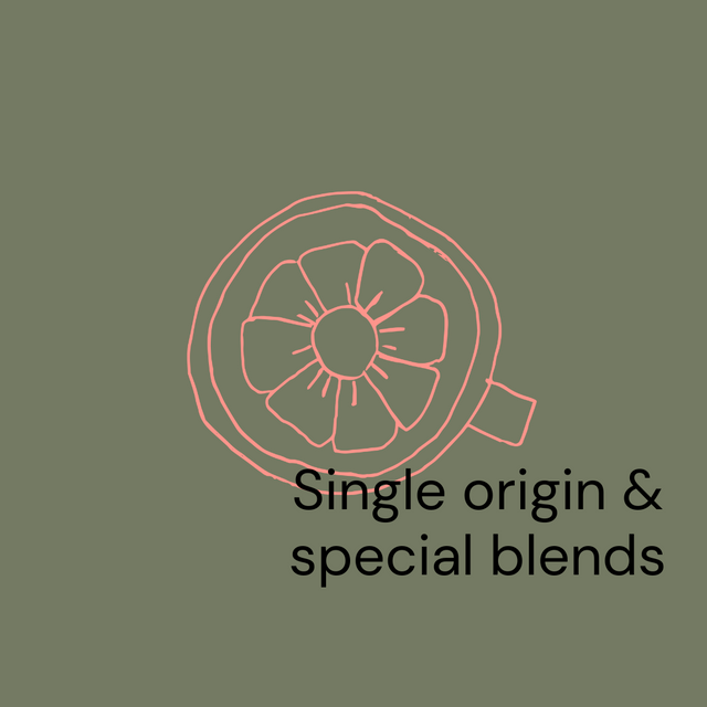 Riley Coffee - Single origin/Special blend FIXED Subscription (6 deliveries)